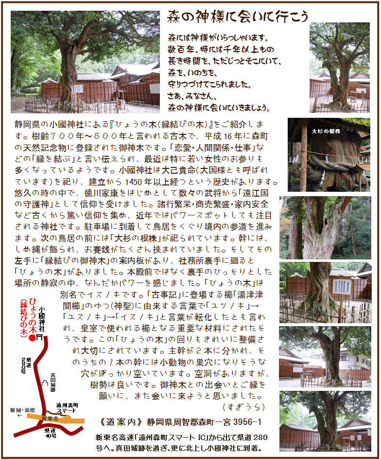 小國神社のひょうの木