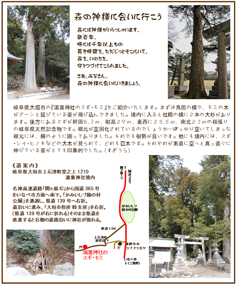 湯葉神社のスギ・モミ