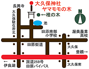 案内地図