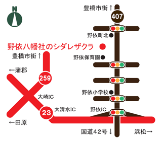 野依八幡社のシダレザクラへの道案内図