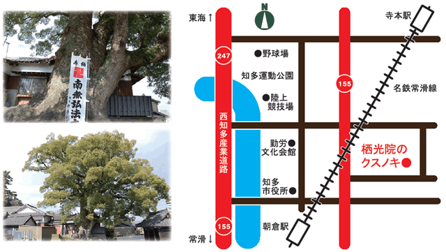 海鳴山栖光院のクスノキへの道案内図