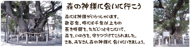 大田の大楠