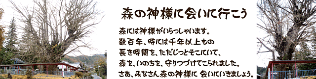 長楽寺のイチョウ