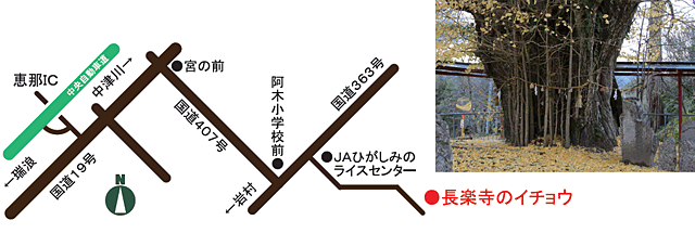 長楽寺のイチョウへの道案内図