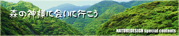 「森の神様に会いに行こう」バックナンバー